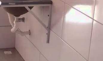 Imagem 3: Vendo em traipu 130 mil reais