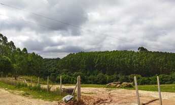 Imagem 6: Chácara Urbana Curitiba, Lamenha Pequena, 5.850m², 1Km Justo Manfron