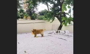 Imagem 6: APARTAMENTO - BAIRRO CAMPESTRE