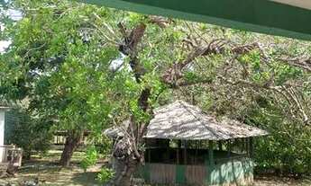 Imagem 6: Sítio Chácara com venda por R$650.000