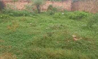 Imagem 5: Vendo terreno na Conceição