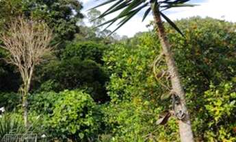 Imagem 2: Fazenda/Sítio/Chácara para venda com 200 metros quadrados com 3 quartos