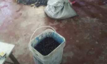 Imagem 3: Casa Casa com 1 dormitório