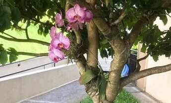 Imagem 4: Apartamento com Garden