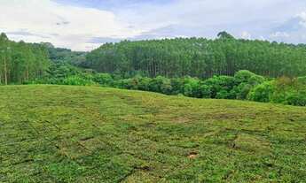 Imagem: Chácara Urbana Curitiba, Lamenha Pequena