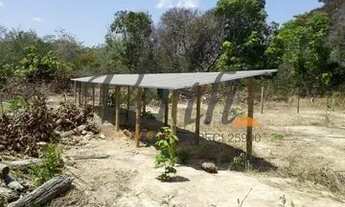 Imagem 4: Fazenda - Centro - São Romão