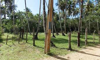 Imagem 2: Terreno em Ilha Morro de São Paulo