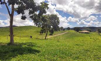 Imagem 4: Fazenda Cultura 61 Alqueires - Itapuranga-Go