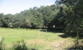 Imagem 7: CRÉDITO REAL VENDE ÁREA DE TERRAS NA RS 122- CAXIAS DO SUL