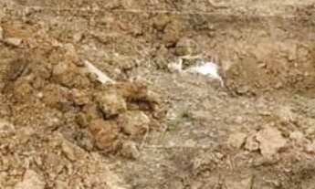 Imagem 7: Vendo Ótimo Terreno 8,00x24,00