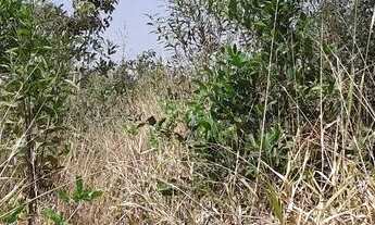 Imagem 3: Chácara em Ravena