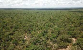 Imagem 3: Fazenda 15.416. Valor 61.664.000