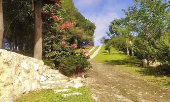 Imagem 4: Terreno chácara sítio