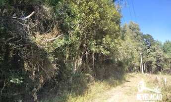 Imagem 5: Chácara com 3 dormitórios à venda, 13230 m² por R$ 1.000.000,00 - Cachoeira - São José dos