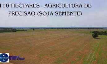 Imagem 5: Fazenda à venda em São Miguel do Passa Quatro - GO