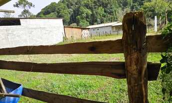 Imagem 4: Terreno plaino com laguinho 43 mil reais