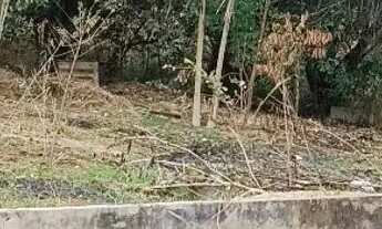 Imagem 2: Chácara em aparecida de Goiânia