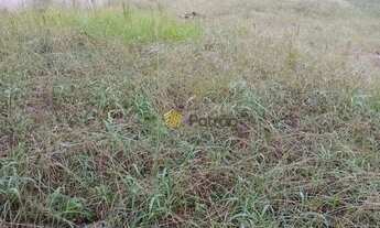 Imagem 2: Terreno à venda, 800 m² por R$ 2.800.000,00 - Nova Petrópolis - São Bernardo do Campo/SP