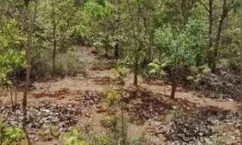 Imagem 6: FAZENDA - 1.500 HECTARES