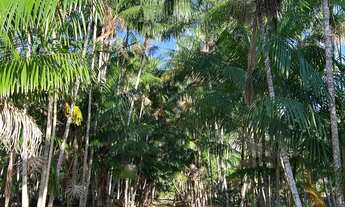 Imagem 7: Lotes de 30.000m2 a apenas 30km de Boa Vista-RR