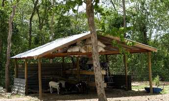 Imagem 4: Chacara às margens do rio Cuiabá dentro da cidade!