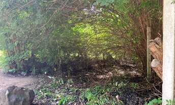 Imagem 7: Terreno à venda na Barra de Sto Antônio