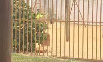 Imagem 6: Imóvel para venda tem 45 metros quadrados com 2 quartos