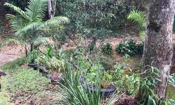 Imagem 5: Vendo sítio em Alfredo Chaves