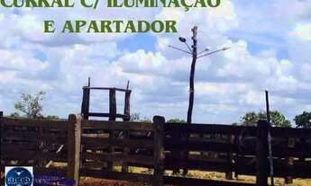 Imagem 6: Fazenda à venda em São Miguel do Passa Quatro - GO