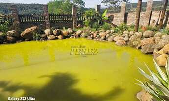 Imagem 4: Chácara para alugar no Limoeiro em Londrina