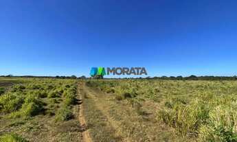 Imagem 3: FAZENDA À VENDA - 264 HECTARES - MONJOLOS (MG