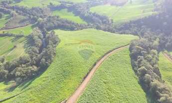 Imagem 2: Propriedade Agrícola 57,5 Ha com Ótimo Preço em Três Palmeiras