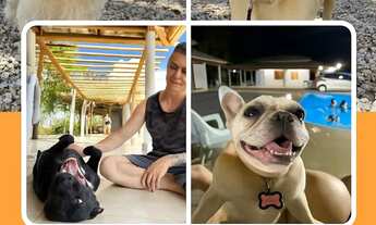 Imagem 6: Aluguel de Chacara excelente