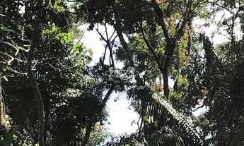 Imagem 4: Terreno à venda, Feiticeira, Ilhabela, SP