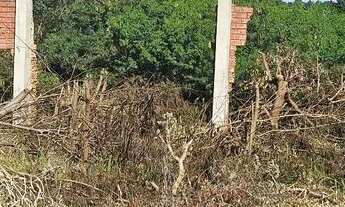 Imagem 4: Terreno BR 277 frente Coca Cola