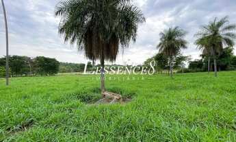 Imagem 7: Chácara com 2 Alqueires | Avelinópolis | Curral