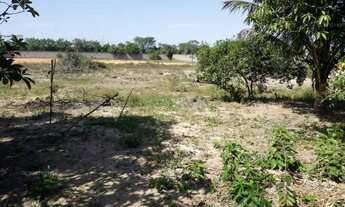 Imagem: Terreno em Ulisses Guimarães