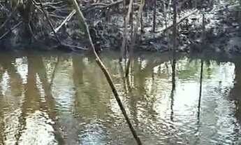 Imagem 4: Fazenda de CAMARÃO - 26 tarefas - INDIAROBA