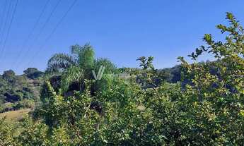 Imagem 6: Sítio - Morro das Pedras - Valinhos