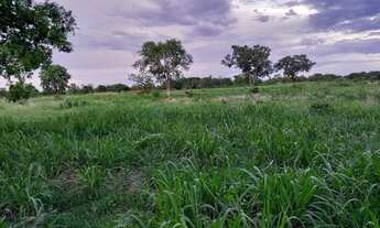 Imagem 2: Fazenda 109 hectares 80 km de Cuiabá/Livramento