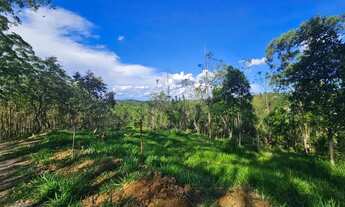 Imagem 6: Terreno próximo ao centro de Juquitiba