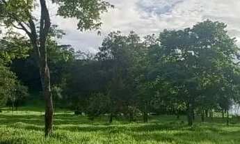 Imagem 2: VENDE-SE CHACARA NO MUNICIPIO DE AVELINOPOLIS-GO COM 2 ALQUEIRES