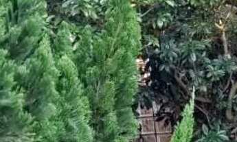 Imagem 2: CONDOMÍNIO ÁGUAS DO JAGUARIBE, PIATÃ CASA 5 SUITES COM INFRA