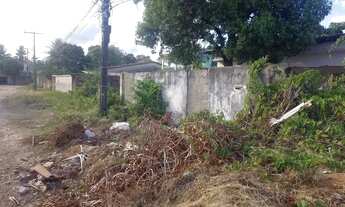 Imagem 4: JANGA CASA 4QTS SUIT 280M2 LAJEADA PARA SER REFFORMADA OPORTUNIDADE