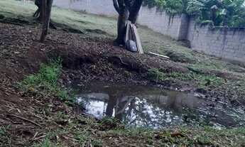 Imagem 6: Vendo chácara Chácara com venda por R$850.000