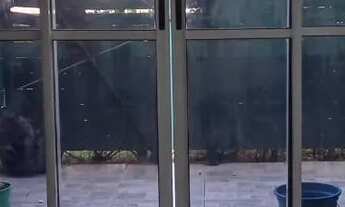 Imagem 5: Aluga-se Apartamento em pavuna RJ