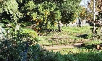 Imagem 6: INBOX CIA IMOBILIÁRIA VENDE TERRENO NO BAIRRO SAO VENDELINO