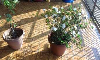 Imagem 2: Casa em Avenida Israel Fonseca - Vila Fátima - São Paulo/SP