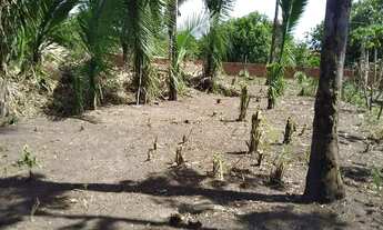 Imagem 4: Imóvel para venda possui 10000 metros quadrados em Quebra Pote - São Luís - MA