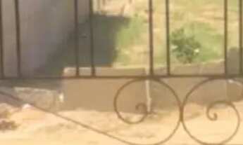 Imagem 7: Casa beira-mar em Baixio